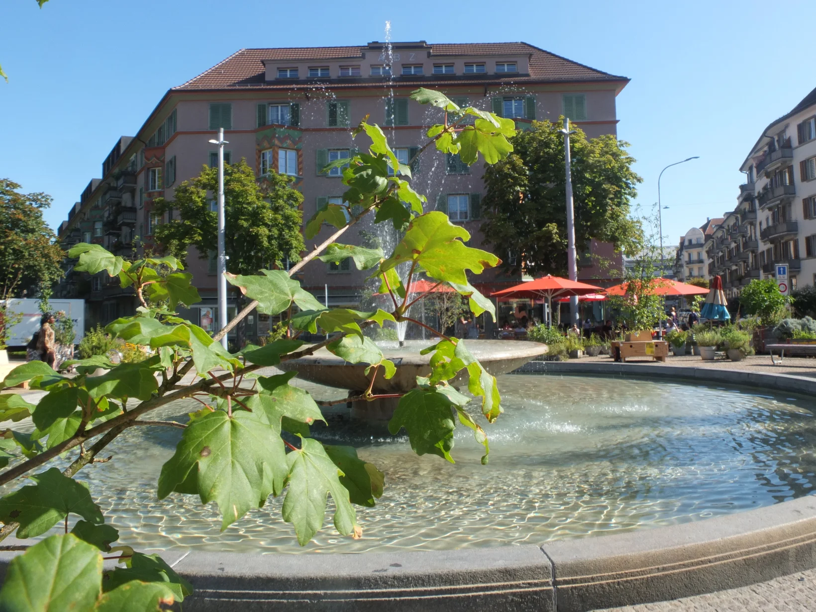 Bullingerplatz Ahorn