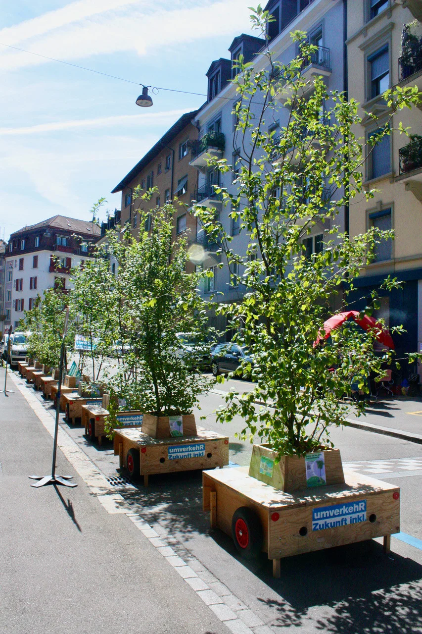 Wanderbaumallee von der Brahmsstrasse an die Idastrasse Wanderbaumallee von der Brahmsstrasse an die Idastrasse