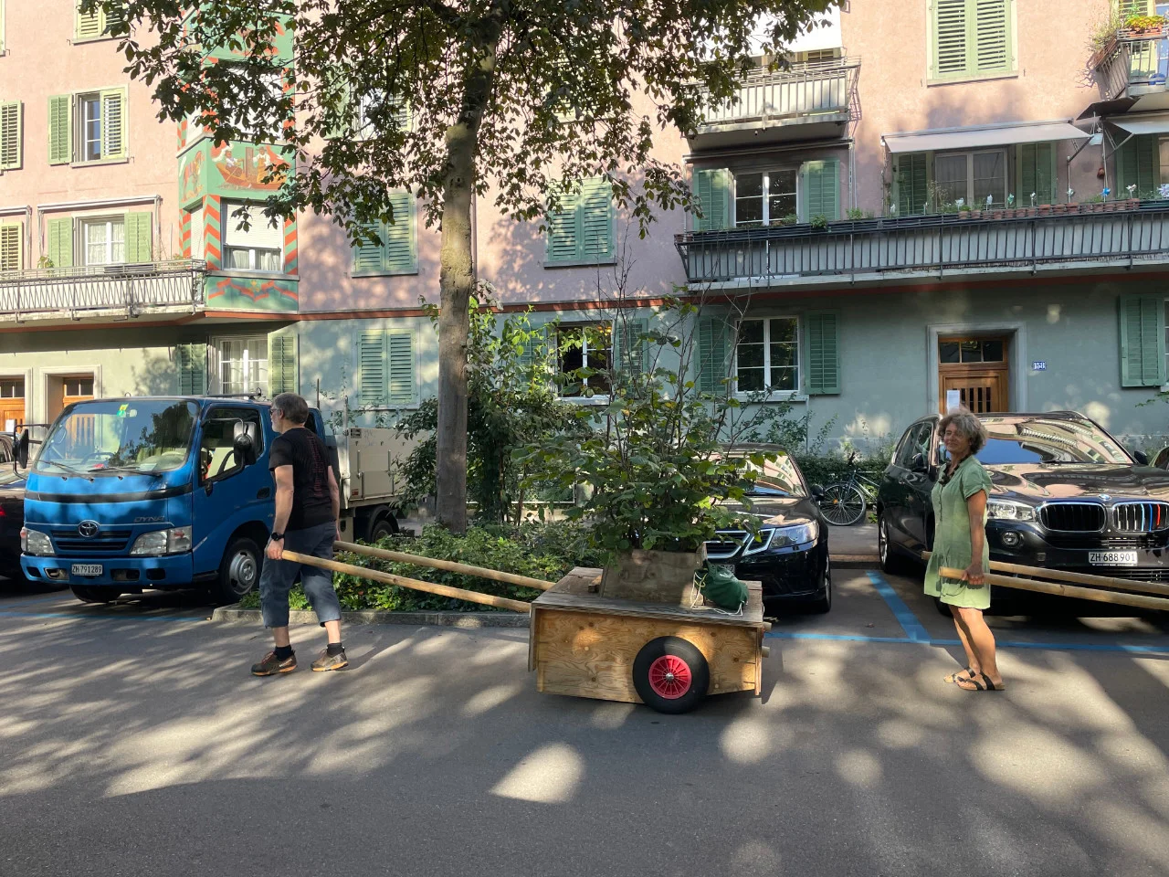 Wanderbaumallee: Vom Bullingerplatz zum Hardplatz Wanderbaumallee: Vom Bullingerplatz zum Hardplatz