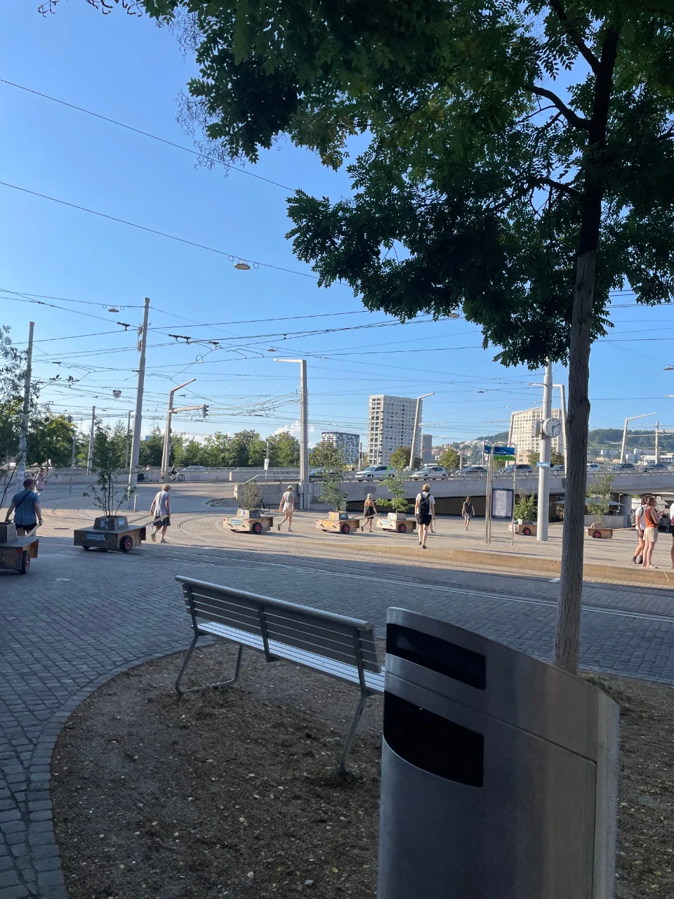 Wanderbaumallee: Vom Bullingerplatz zum Hardplatz Wanderbaumallee: Vom Bullingerplatz zum Hardplatz