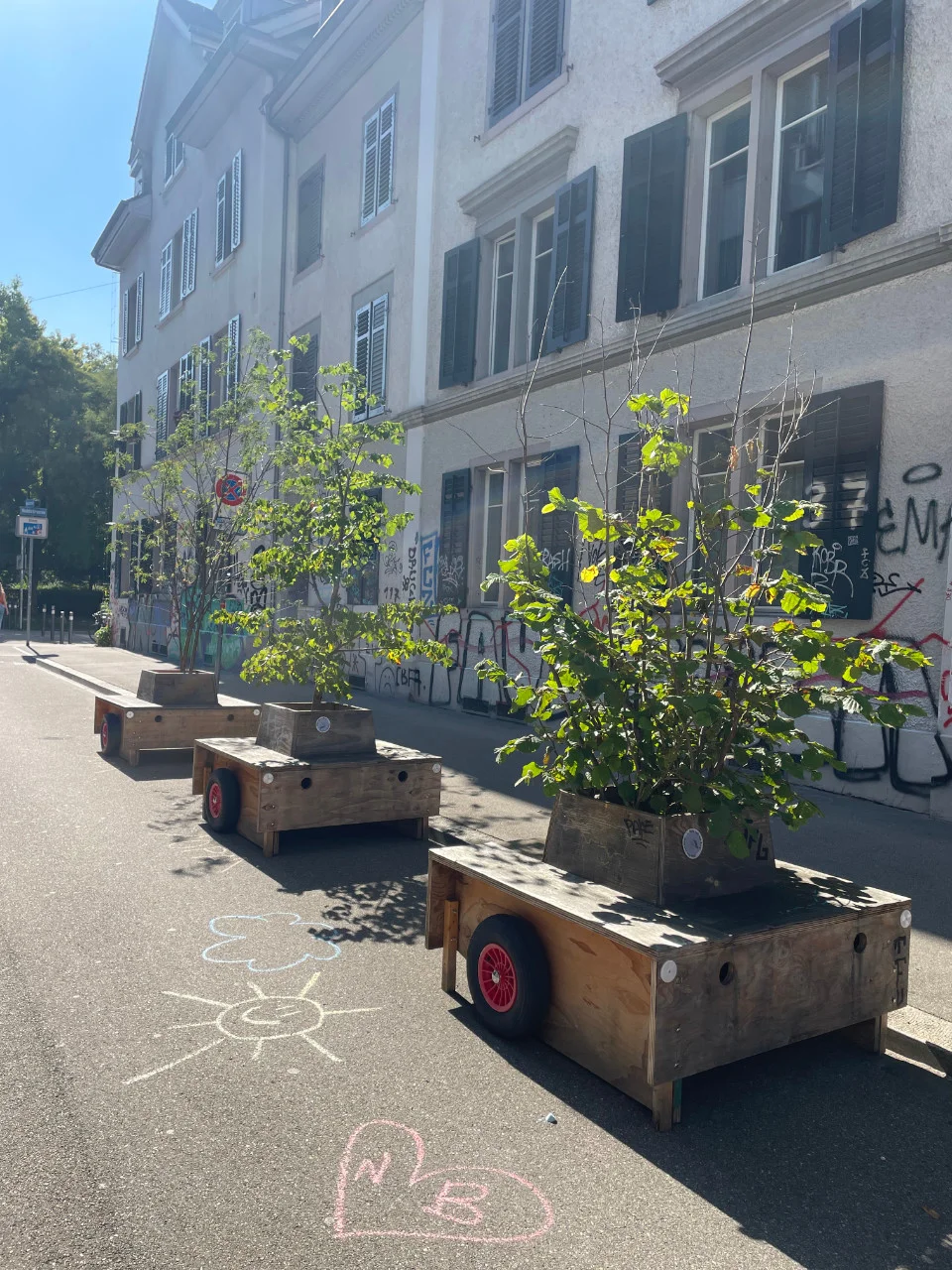 Wanderbaumallee: Vom Hardplatz an die Hellmutstrasse Wanderbaumallee: Vom Hardplatz an die Hellmutstrasse