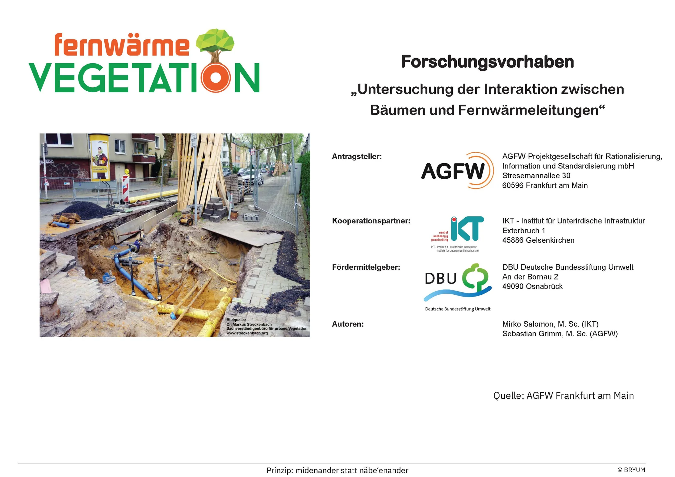Klimakonzept Bäume über Leitungen