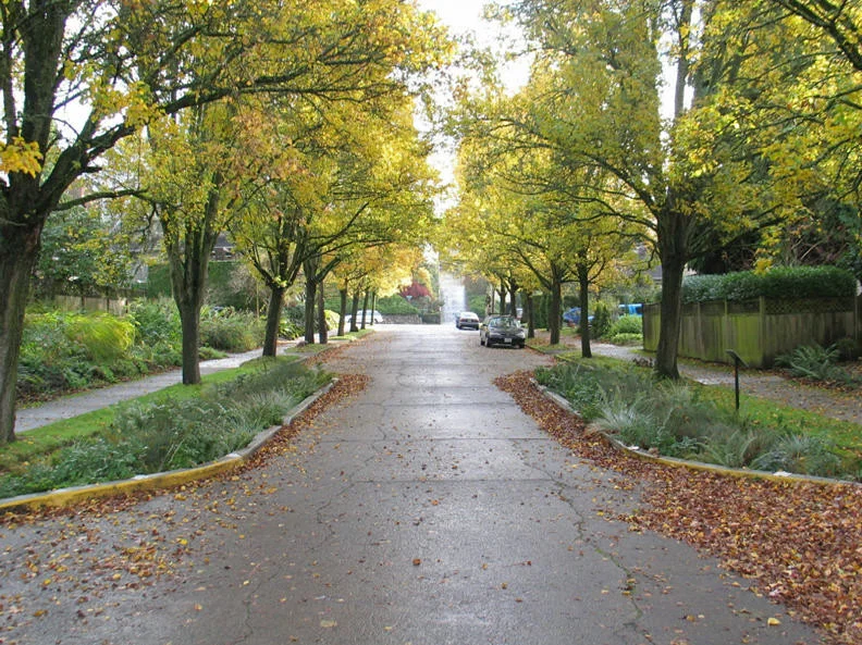 Bioretention Portland