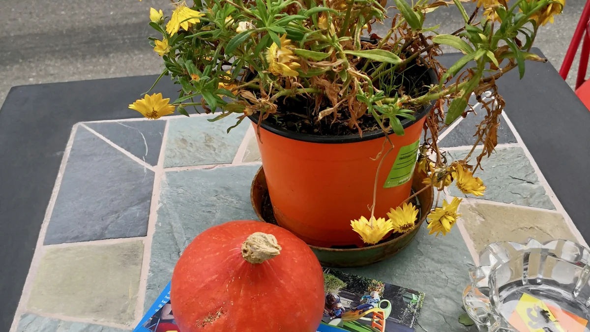 Quartiertreff statt Parkplatz an der Maulbeerstrasse in Basel am PARK(ing) Dy 2018