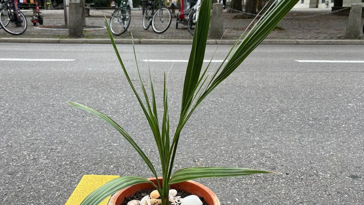 PARK(ing) Day 2022 an der Stadthausstrasse in Winterthur