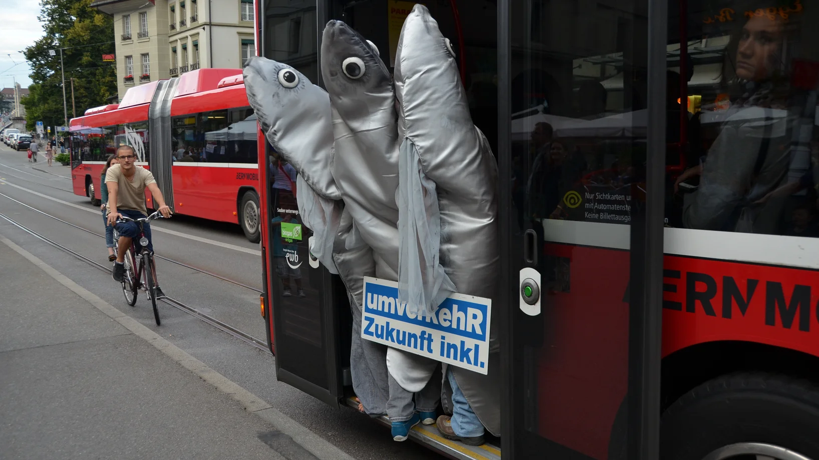 ÖV Sardinen