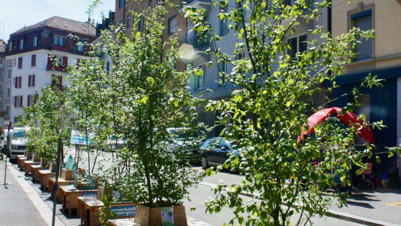 Wanderbaumallee von der Brahmsstrasse an die Idastrasse